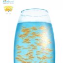 금붕어PC 이미지