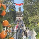 지에스25 연꽃마을점 | [홍콩] 11. 란타우섬 옹핑360 케이블카 타고 옹핑마을 천단대불 관광 (홍콩 공항 근처 관광 추천)