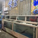 선풍 | 교동 택지 모둠회 + 해산물 세트 추천 쫄깃한 생선, 오징어회가 맛있는 횟집 추천 “ 선풍“ 내돈내먹 후기