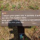 낙동정맥트레일(2코스-봉황의 터 탐방길) 이미지