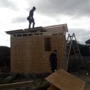 나른한 당근 이미지