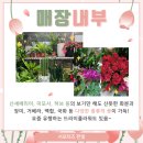 서울한영대학교 이미지