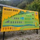 별빛뜰애
