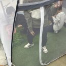 부산 주말 벡스코 렙타일페어 44 소동물 파충류 박람회 후기