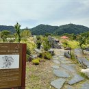 태화강국가정원 이미지