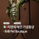 PET PRINCE (애견샵) | 피렌체 고급 가죽 애견 용품 샵 특별한 기념품 ‘브릴리 펫 부티크 Brilli Pet Boutique’ 방문 후기