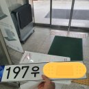 MQ4 쏘렌토 하이브리드 노블레스 출고 후기 I 셀프 자동차 등록 I 칼트윈 TX 썬팅, 아이나비 QXD7000