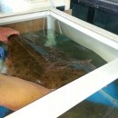 감포횟집 이미지