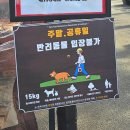 아산 가볼만한곳 &#34;피나클랜드 수목원&#34; 튤립축제 아기랑 방문후기 (+ 포토존 꿀팁, 입장료 할인팁)