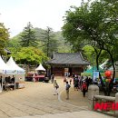 신록1로 이미지