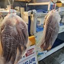 양포문어 이미지