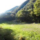 푸른산농원 이미지