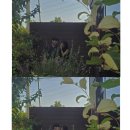 중명 정원 이미지