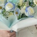 커들리블라썸 - 동작구 장승배기로24나길 16 | 커들리블라썸