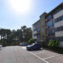 신양농협하나로마트 이미지