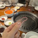 하이텐션 이미지