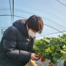 석진 농장 이미지