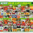 데레사농수축소비센타