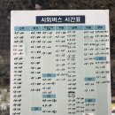 앤티앤스부산서부시외버스 이미지
