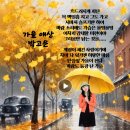 가을 애상 이미지