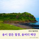 제주 사계리 용머리 화산쇄설층 | 제주 용머리 해안 🐉용이 잠든 절경을 걷다