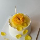 아이엠살롱