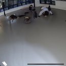 이번생은 댕댕이 이미지