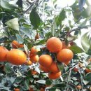 가온하우스 이미지