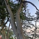 여인송빌리지 이미지