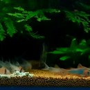 물멍물멍 이미지