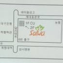 살와레스토랑 네이버블로그