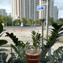 더벤티 양주옥빛점