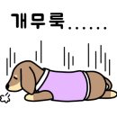 진영역철도박물관 이미지