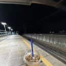 주말 홀로 강남 나들이, 페르에피스 브런치 후기