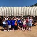 자이태권도 이미지