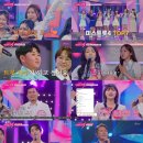 포유 bnt뉴스