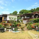 숲속아이 3 이미지