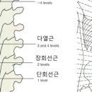 진성한의원 이미지