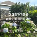 스테이 시간 | [아이랑 제주여행] 아이랑 가기 좋은 가성비 좋은 독채 숙소, 스테이 시간 : 내돈내산 후기