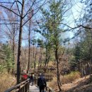 용마산 자락길 코스 이미지