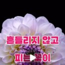 (주)엘인케이 이미지