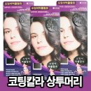 중국서안 피라미드 비밀 발굴에 대한 것 이미지