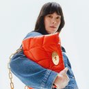 소프티 이미지