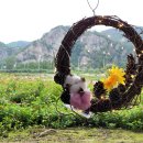 병풍바위야영장 이미지