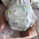 시러비아 | 뭉침걱정없는 러비아 골드프리미어 ♡