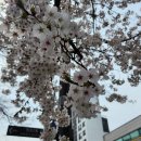 한가람로 이미지