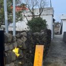 애월오사이 이미지