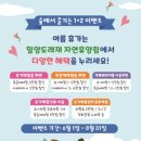 도래재 자연휴양림 뉴스쉐어