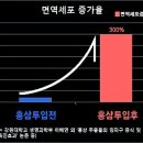 면역력에 좋은 영양제 진짜 좋은건 뭘까? 이미지