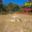 죽림서정이네 이미지